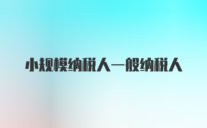 小规模纳税人一般纳税人