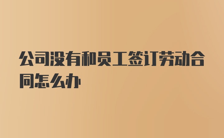 公司没有和员工签订劳动合同怎么办