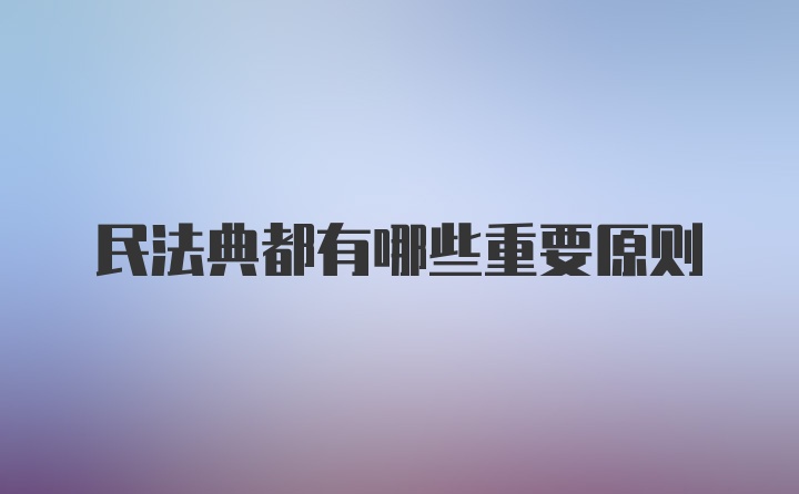 民法典都有哪些重要原则