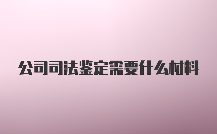 公司司法鉴定需要什么材料