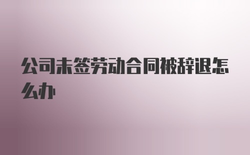 公司未签劳动合同被辞退怎么办