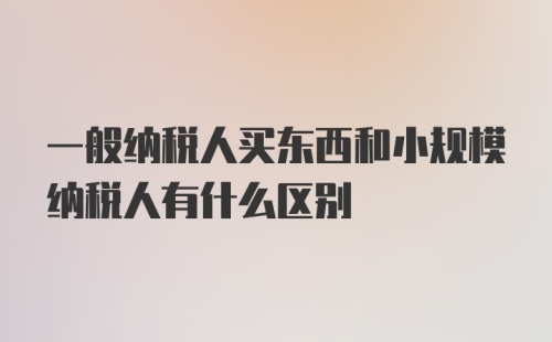 一般纳税人买东西和小规模纳税人有什么区别