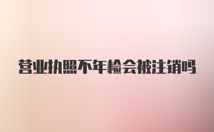 营业执照不年检会被注销吗