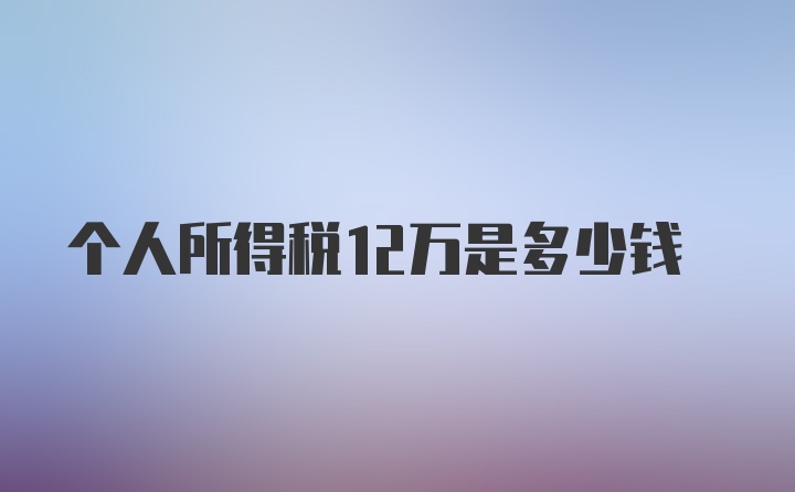 个人所得税12万是多少钱