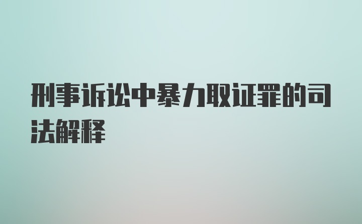 刑事诉讼中暴力取证罪的司法解释