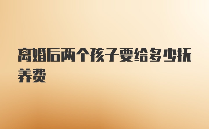 离婚后两个孩子要给多少抚养费