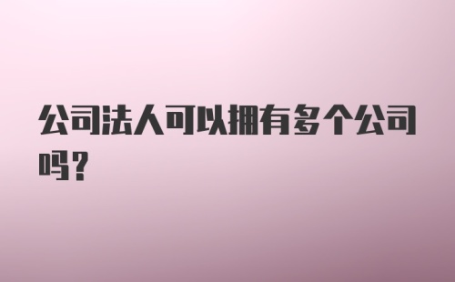 公司法人可以拥有多个公司吗？