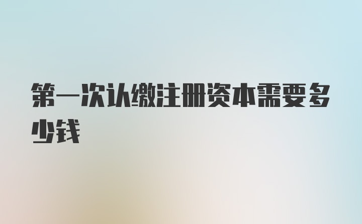 第一次认缴注册资本需要多少钱