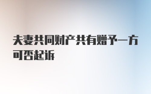 夫妻共同财产共有赠予一方可否起诉