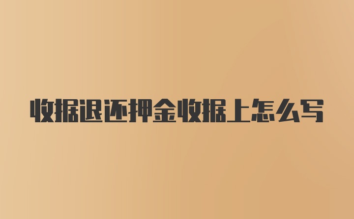 收据退还押金收据上怎么写