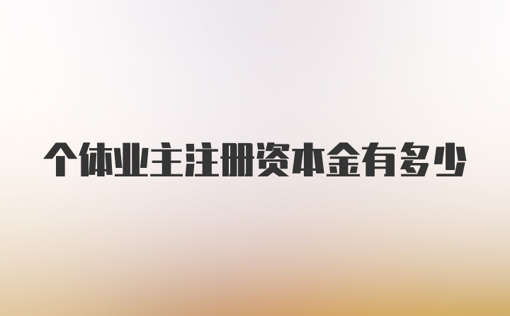 个体业主注册资本金有多少