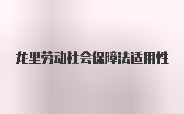 龙里劳动社会保障法适用性