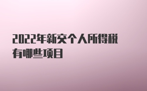 2022年新交个人所得税有哪些项目