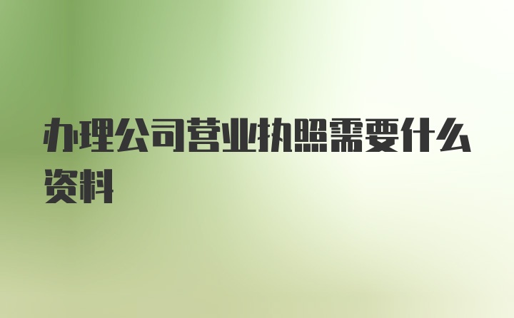 办理公司营业执照需要什么资料