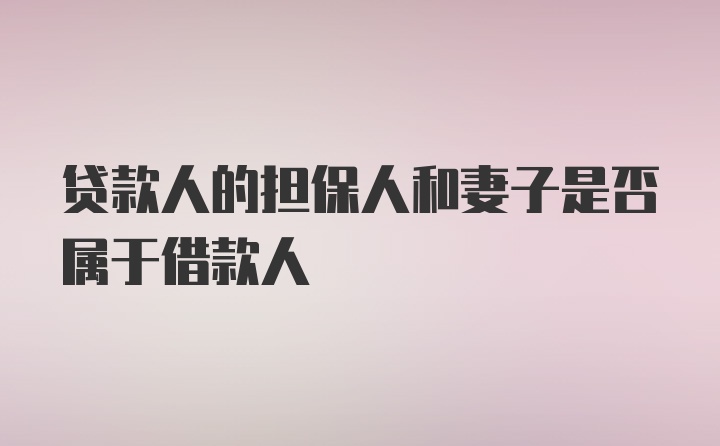 贷款人的担保人和妻子是否属于借款人