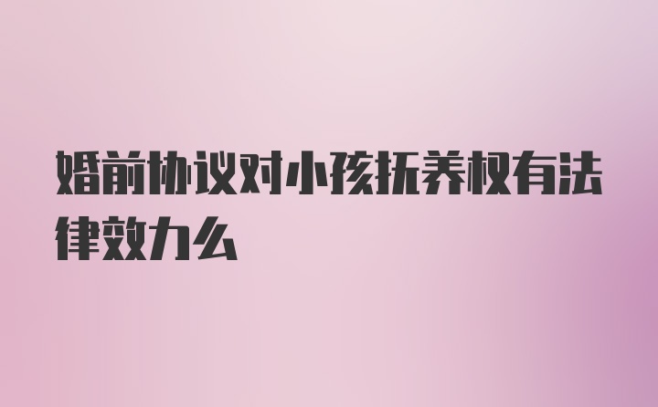 婚前协议对小孩抚养权有法律效力么