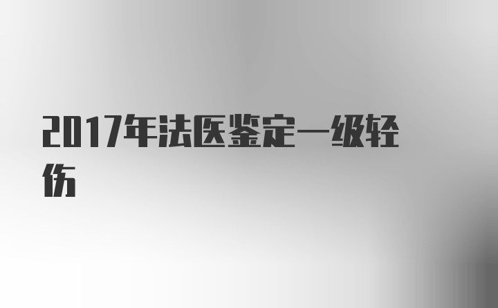 2017年法医鉴定一级轻伤