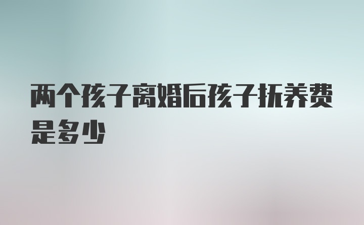 两个孩子离婚后孩子抚养费是多少