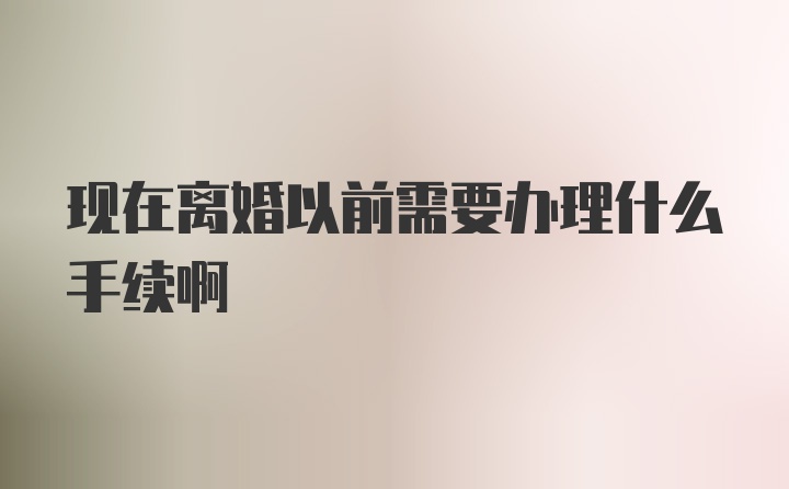 现在离婚以前需要办理什么手续啊