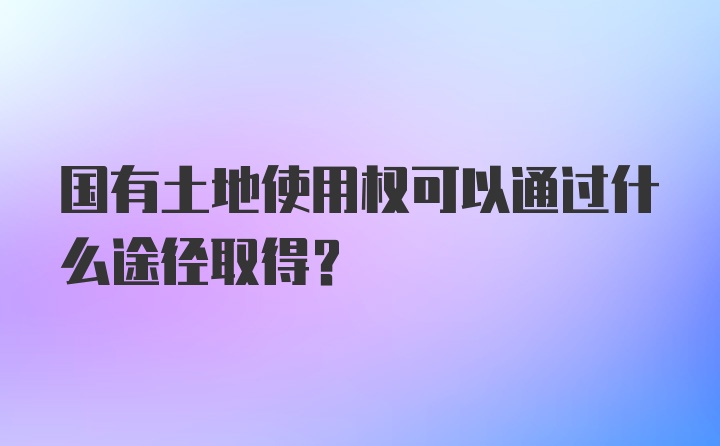 国有土地使用权可以通过什么途径取得？