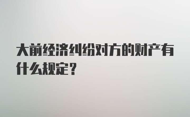 大前经济纠纷对方的财产有什么规定？