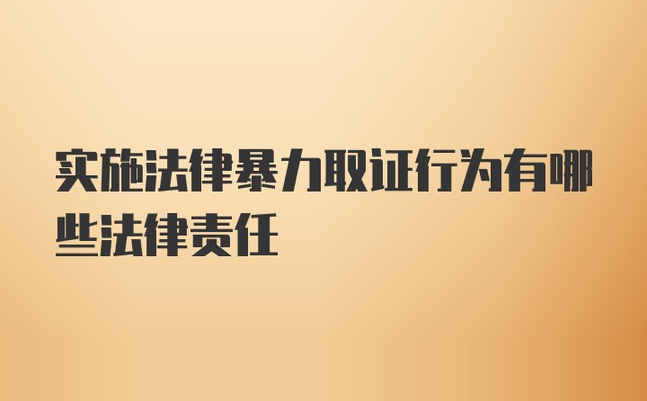 实施法律暴力取证行为有哪些法律责任