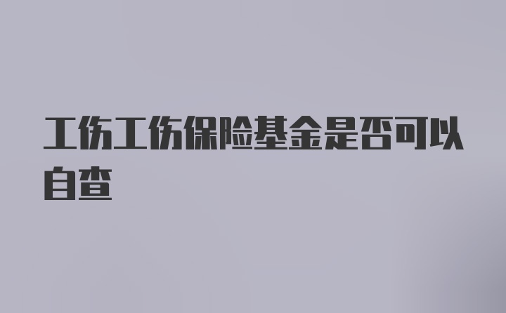 工伤工伤保险基金是否可以自查