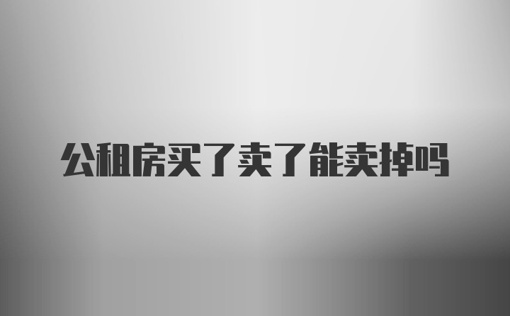 公租房买了卖了能卖掉吗