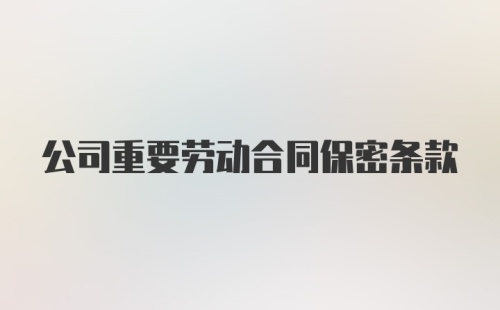 公司重要劳动合同保密条款