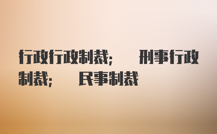 行政行政制裁; 刑事行政制裁; 民事制裁