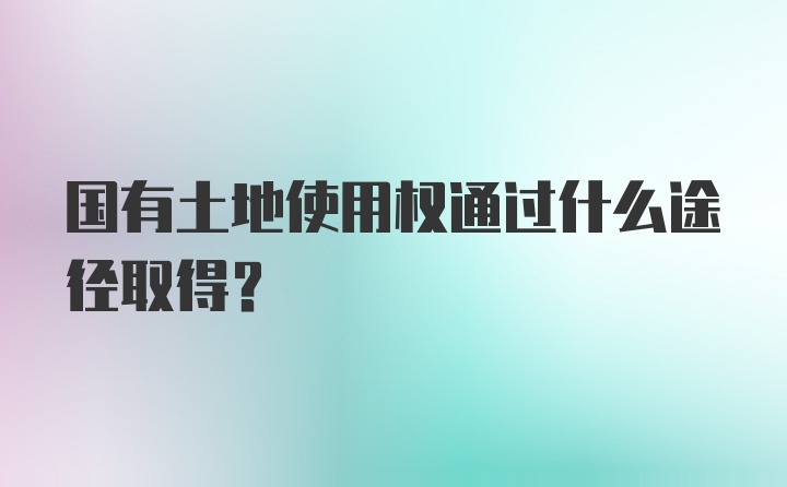 国有土地使用权通过什么途径取得？