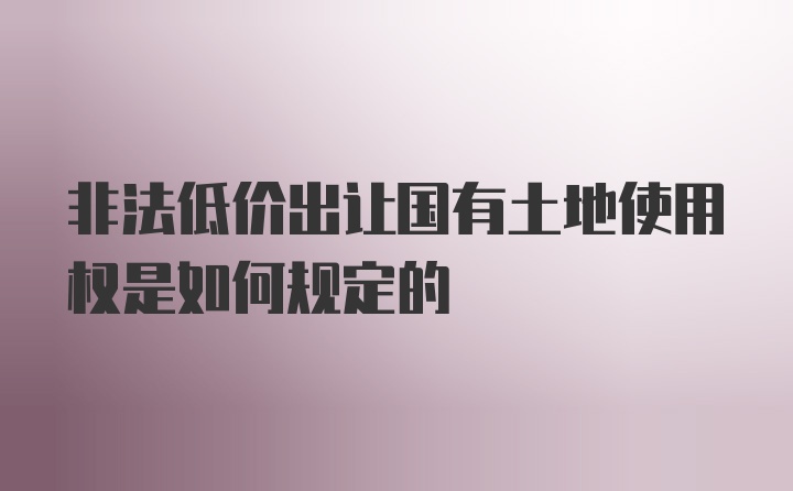 非法低价出让国有土地使用权是如何规定的