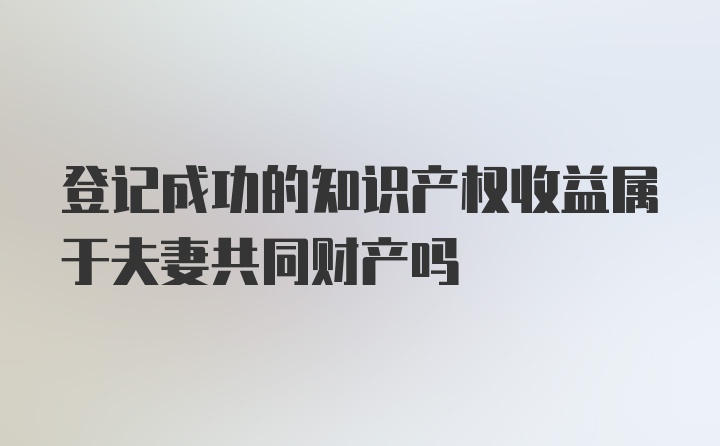 登记成功的知识产权收益属于夫妻共同财产吗