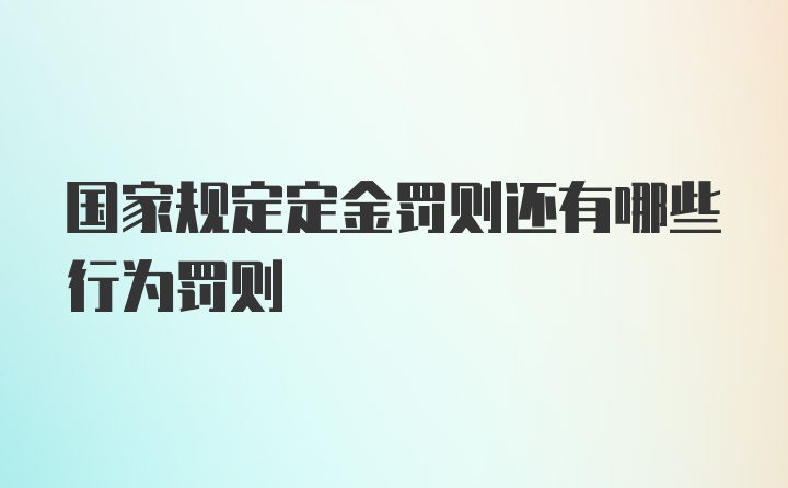 国家规定定金罚则还有哪些行为罚则