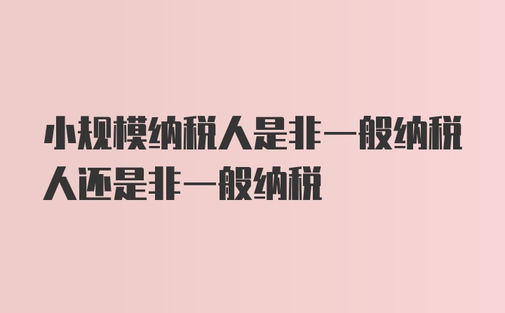 小规模纳税人是非一般纳税人还是非一般纳税