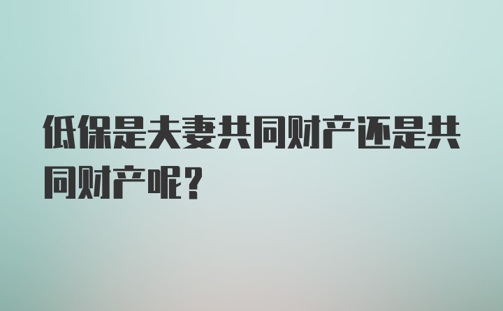 低保是夫妻共同财产还是共同财产呢？