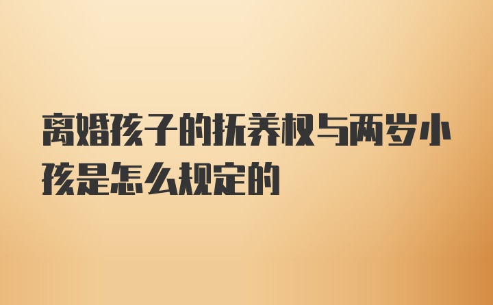 离婚孩子的抚养权与两岁小孩是怎么规定的