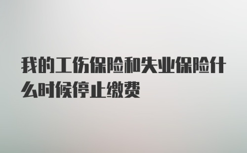 我的工伤保险和失业保险什么时候停止缴费