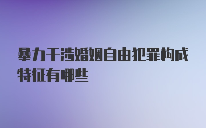 暴力干涉婚姻自由犯罪构成特征有哪些