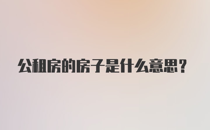 公租房的房子是什么意思？