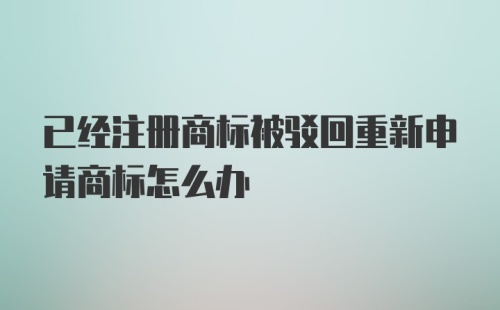 已经注册商标被驳回重新申请商标怎么办