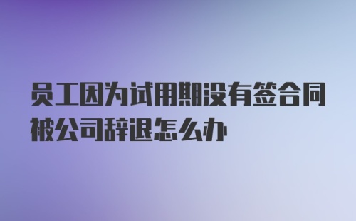 员工因为试用期没有签合同被公司辞退怎么办