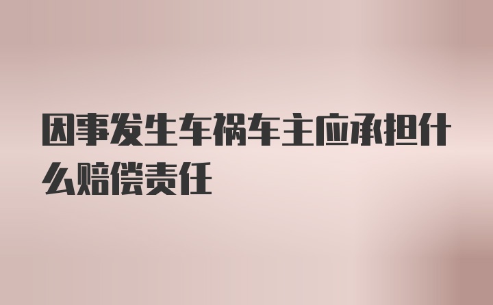 因事发生车祸车主应承担什么赔偿责任