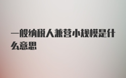 一般纳税人兼营小规模是什么意思