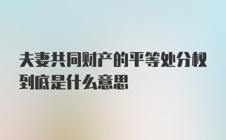 夫妻共同财产的平等处分权到底是什么意思