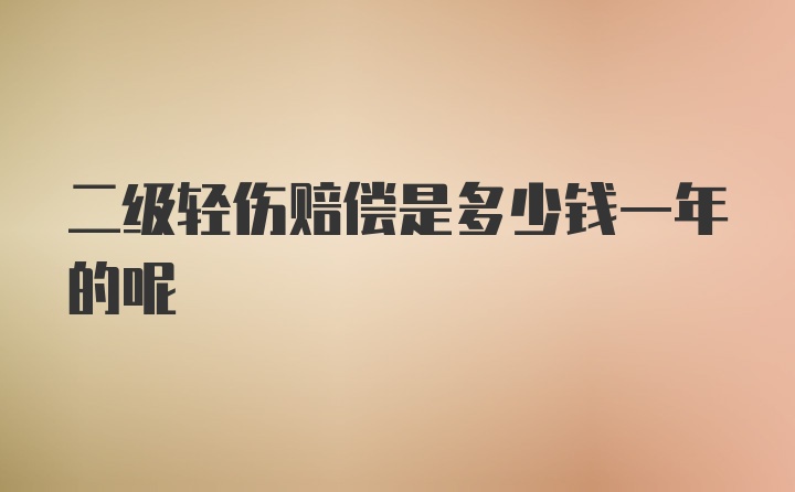 二级轻伤赔偿是多少钱一年的呢