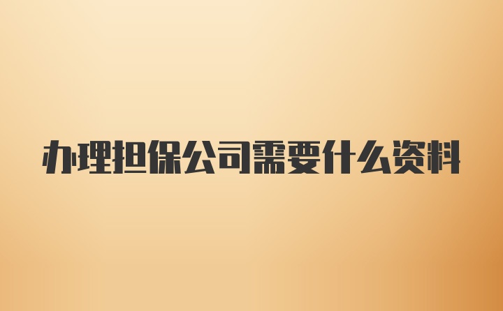 办理担保公司需要什么资料