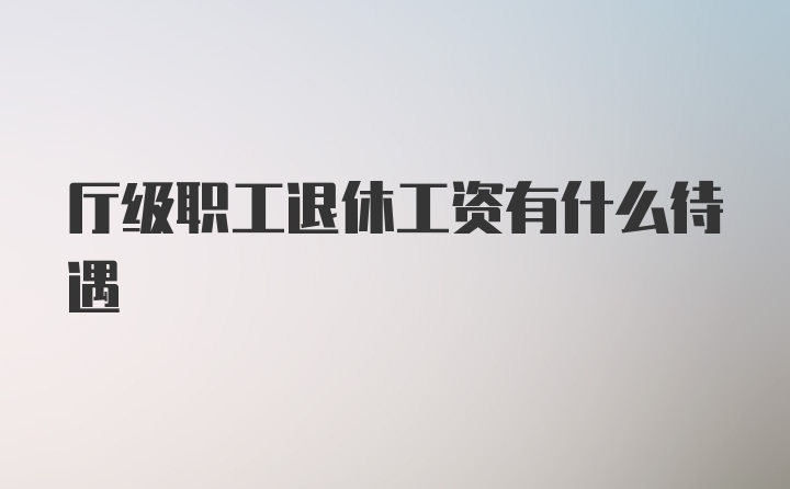 厅级职工退休工资有什么待遇