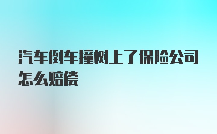 汽车倒车撞树上了保险公司怎么赔偿