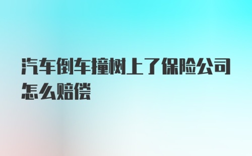 汽车倒车撞树上了保险公司怎么赔偿